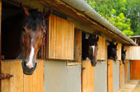 free Manley Common stable construction quotes
